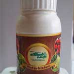metarhixium