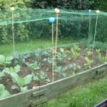 net_garden