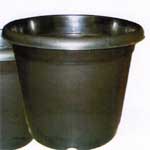 pot_black_1