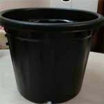 pot_black_2