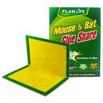 rat_board