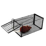 rat_trap_classic