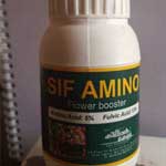 sif_amino