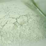 trichoderma